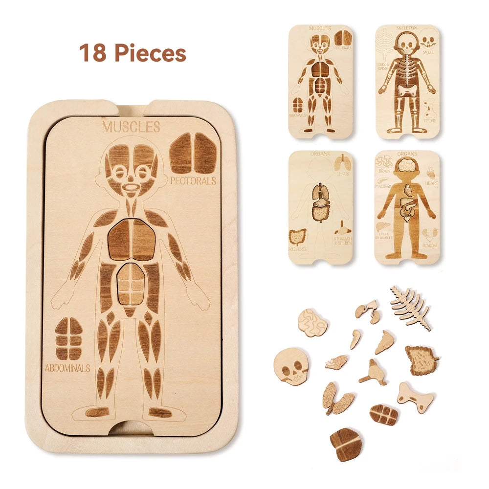 Montessori Wooden Jigsaw Puzzles – Dinosaur Fossil Puzzle & Human Anatomy Puzzle | Educational STEM Toys for Kids Ages 3–12