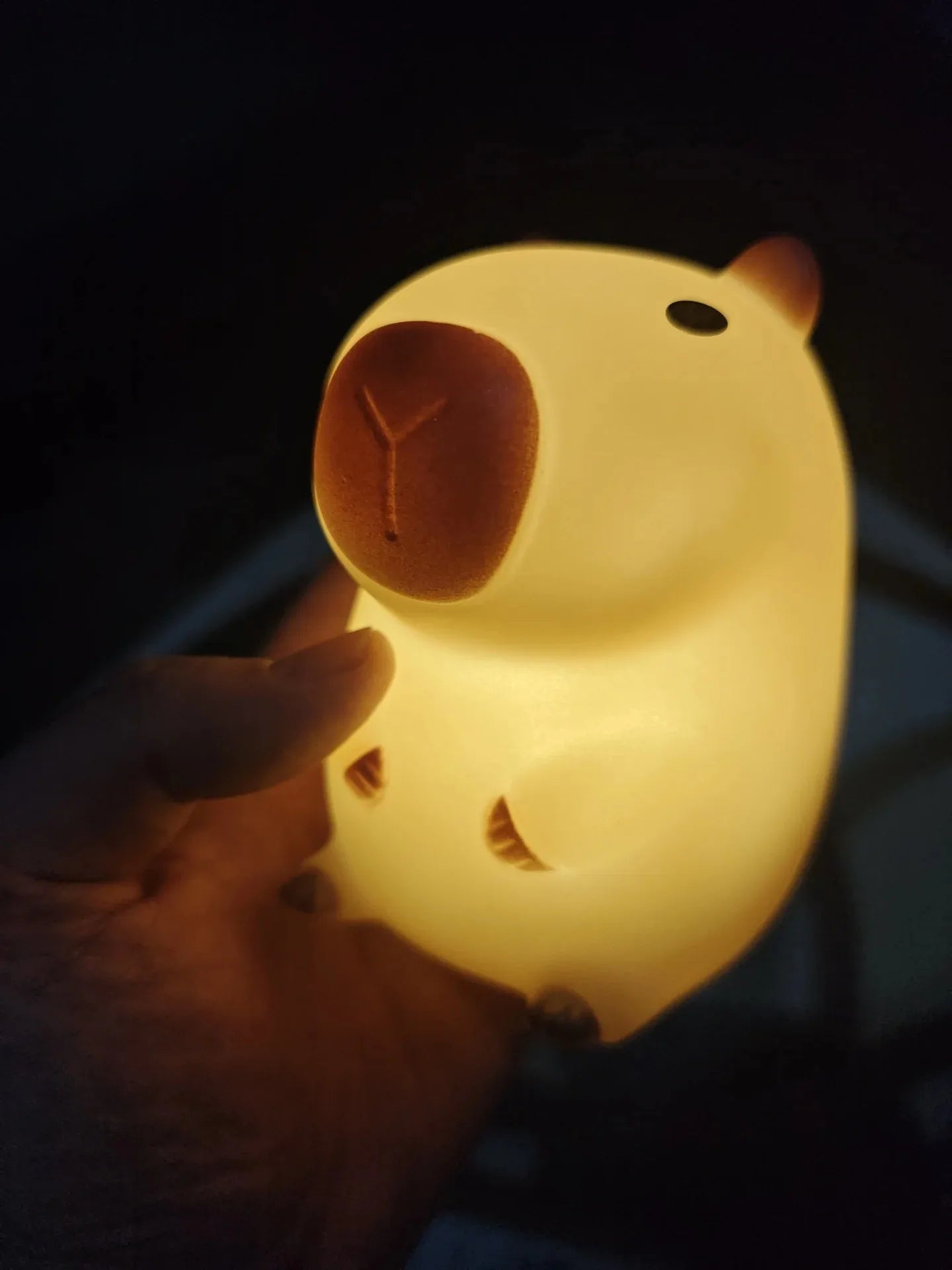 Hand holding a glowing Cute Capybara shaped night light against a dark background