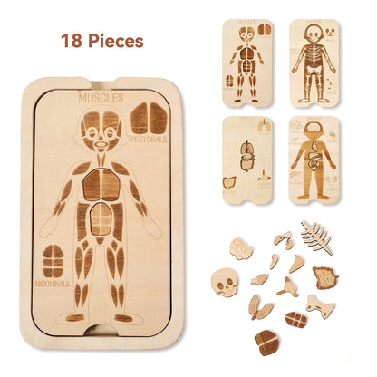 Montessori Wooden Jigsaw Puzzles – Dinosaur Fossil Puzzle & Human Anatomy Puzzle | Educational STEM Toys for Kids Ages 3–12